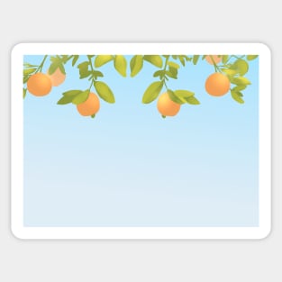 Orange With Leaves Up Blue Sky Sticker